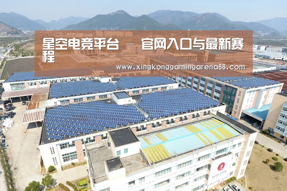 案例展示二