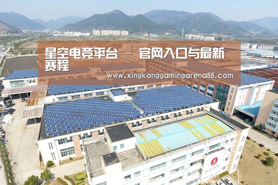 案例展示一