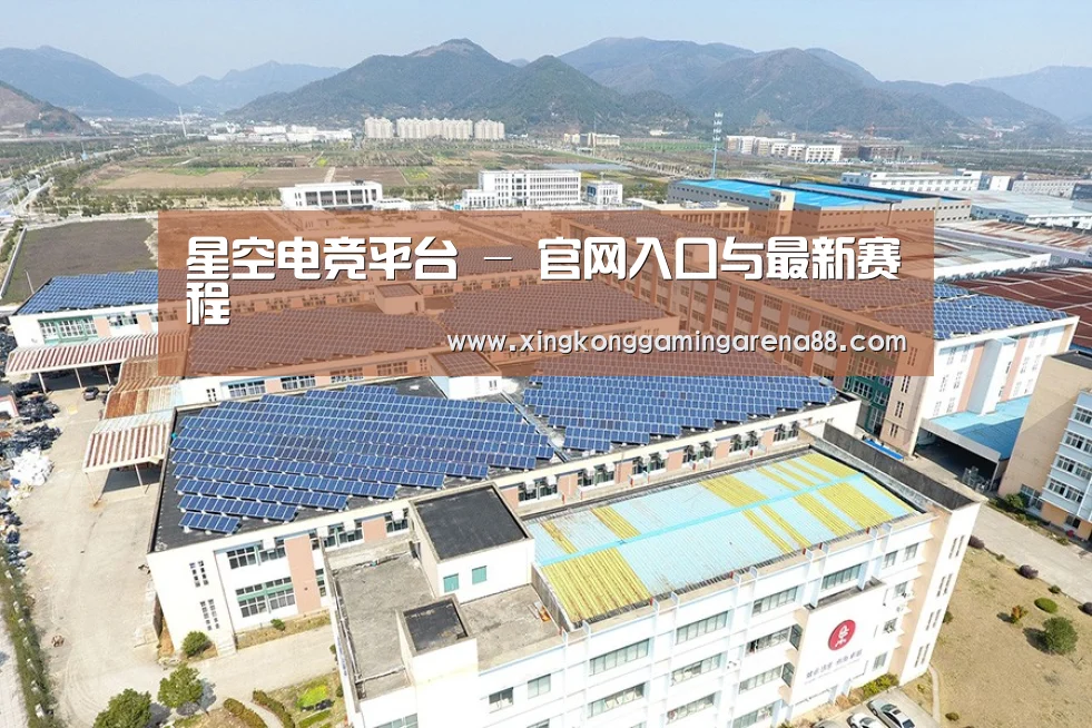 案例展示四