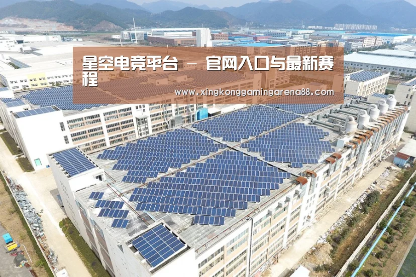 案例展示三