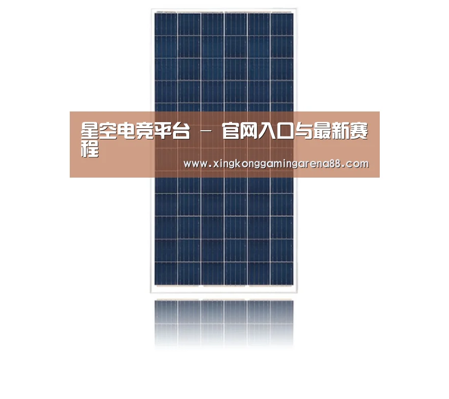 产品名称一