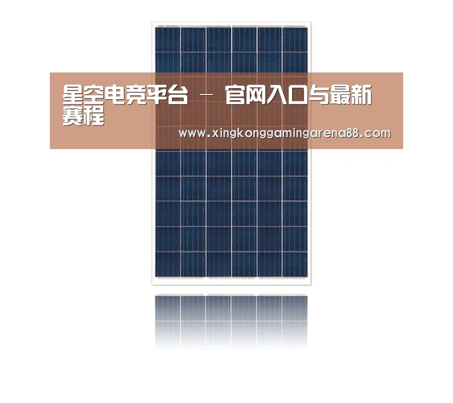 产品名称一