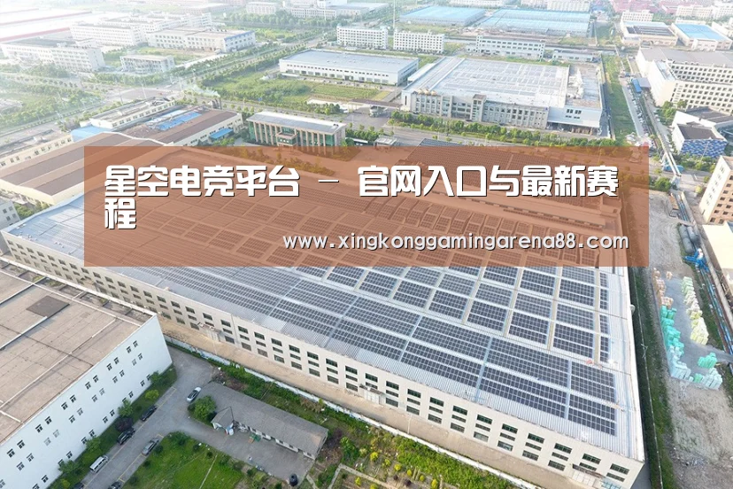 案例展示二