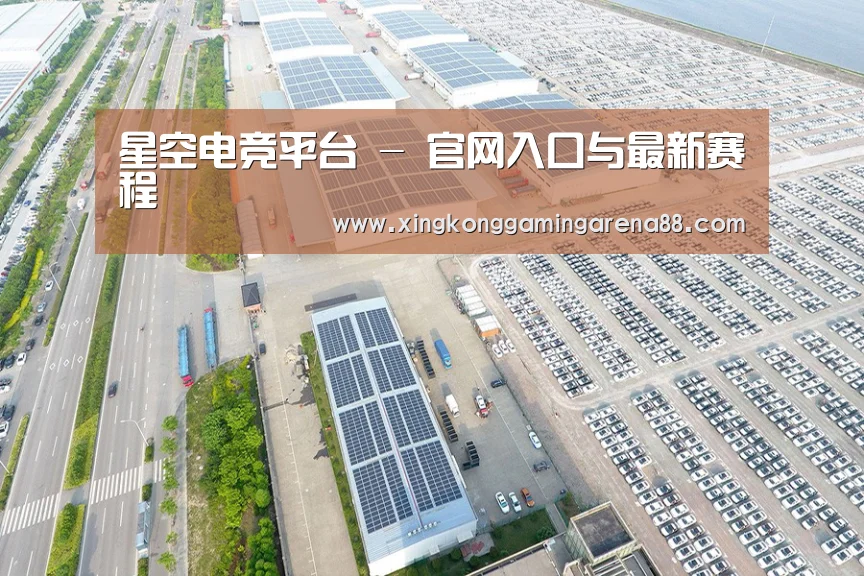 案例展示一