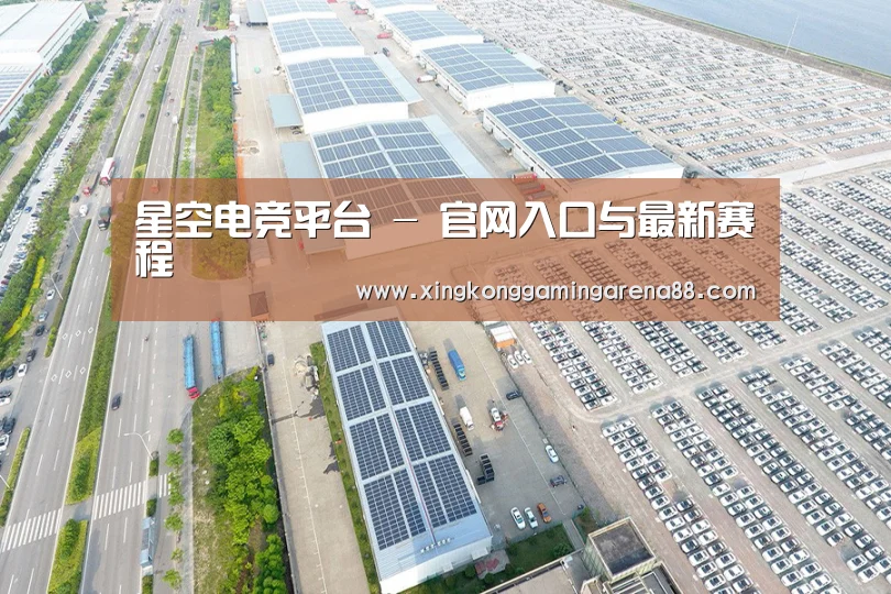 案例展示一