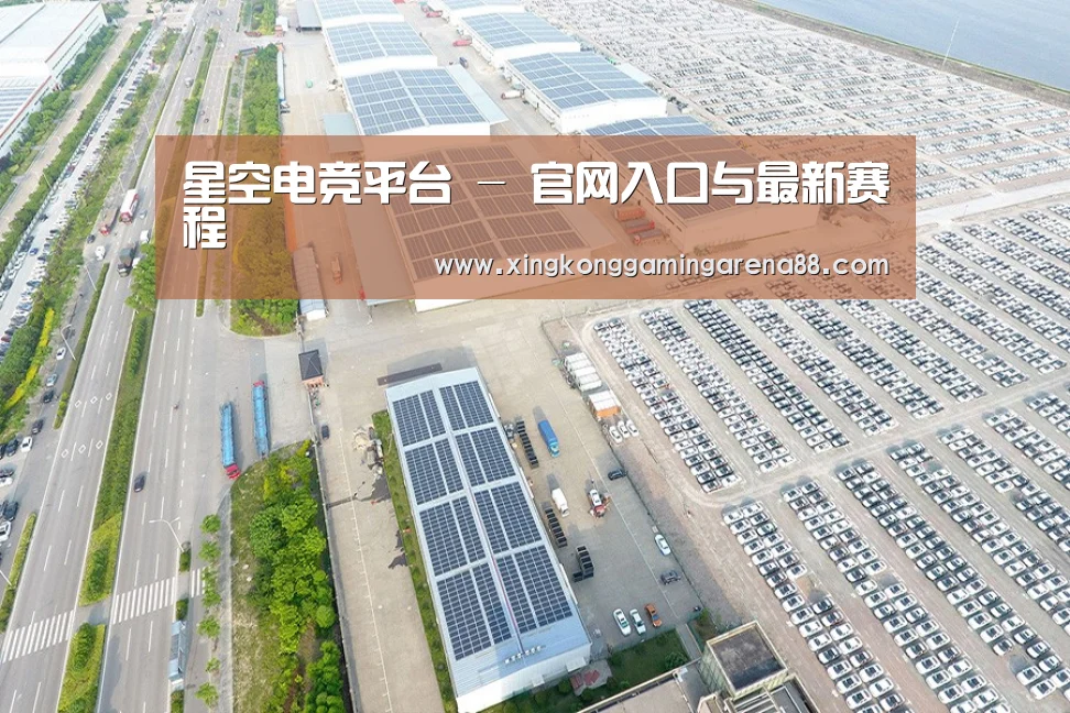 案例展示三