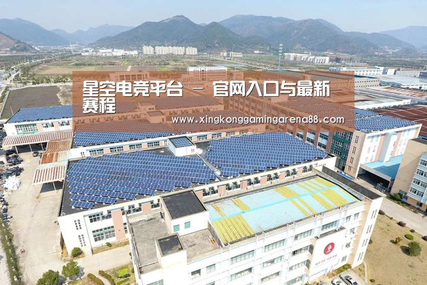 案例展示三